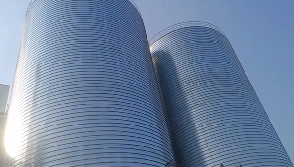 柳州2座混凝土高架卷板仓